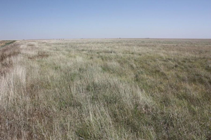 480 Acre Land Auction Offered in 3 Tracts